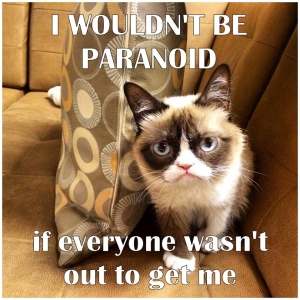 grumpy_cat_paranoid